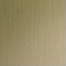 T22 Champagne Platinum Nickel Hairline